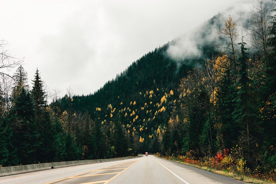 Breathtaking mountain highway view in fall with misty forests in British Columbia, Canada.