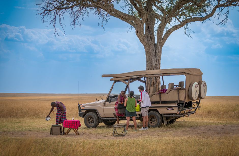 June Family Safari in Kenya: The Route That Works