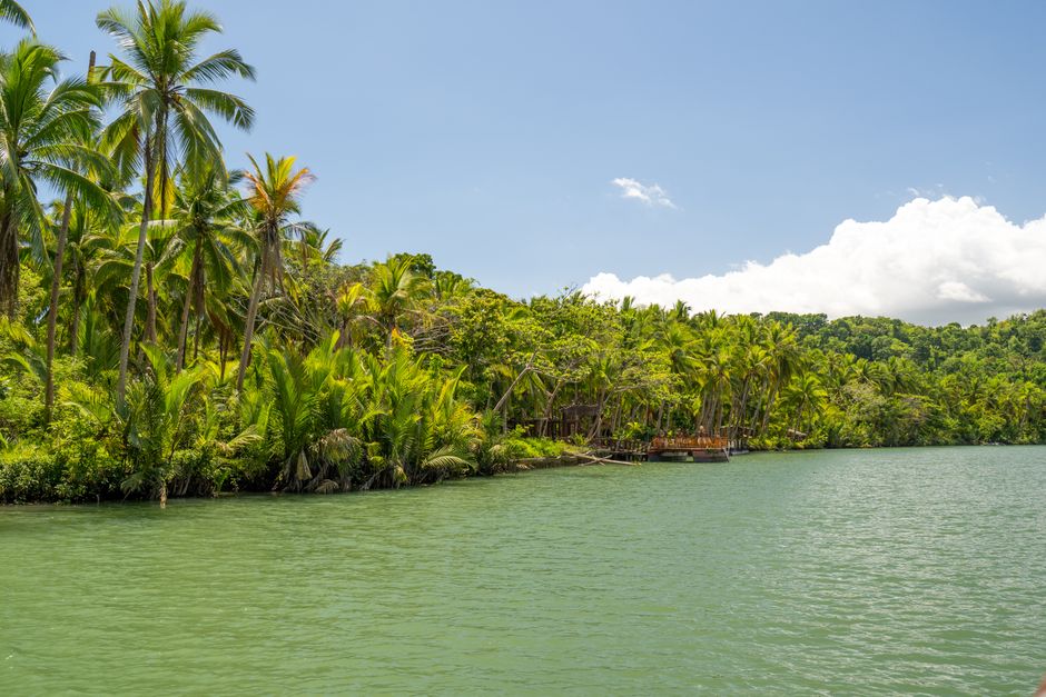 Jungle-lined river on the Costa Rican coast