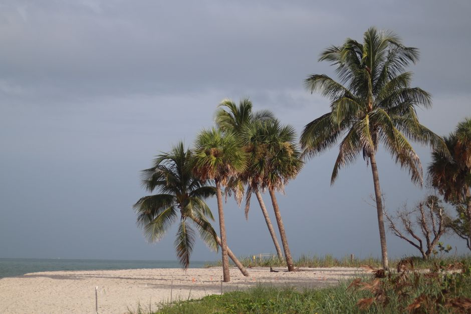 Kid-Friendly Caribbean Islands for an Easier Winter Escape