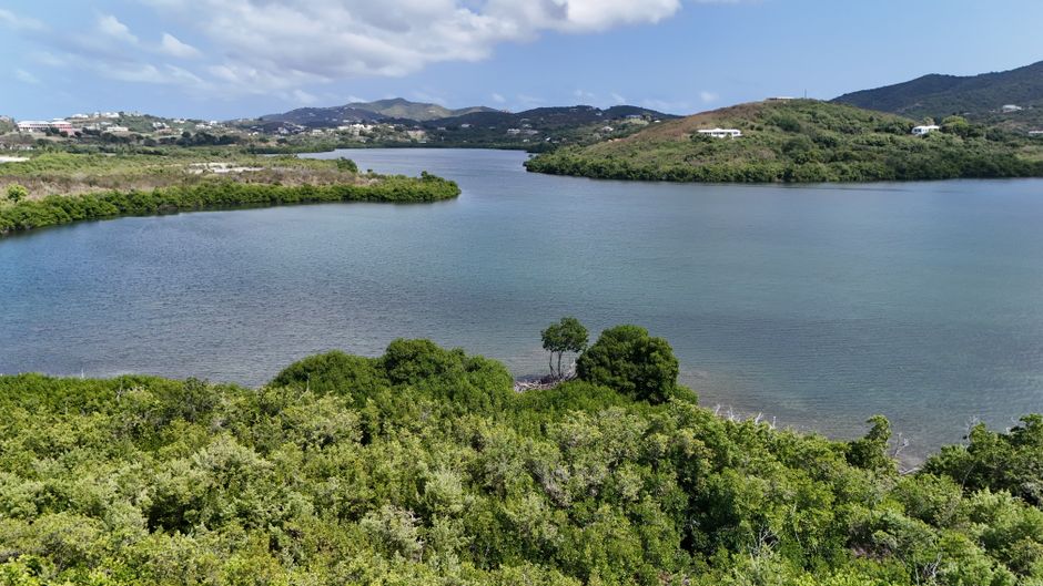 Aerial view of a tranquil lagoon surrounded by lush greenery in St. Croix, U.S. Virgin Islands.