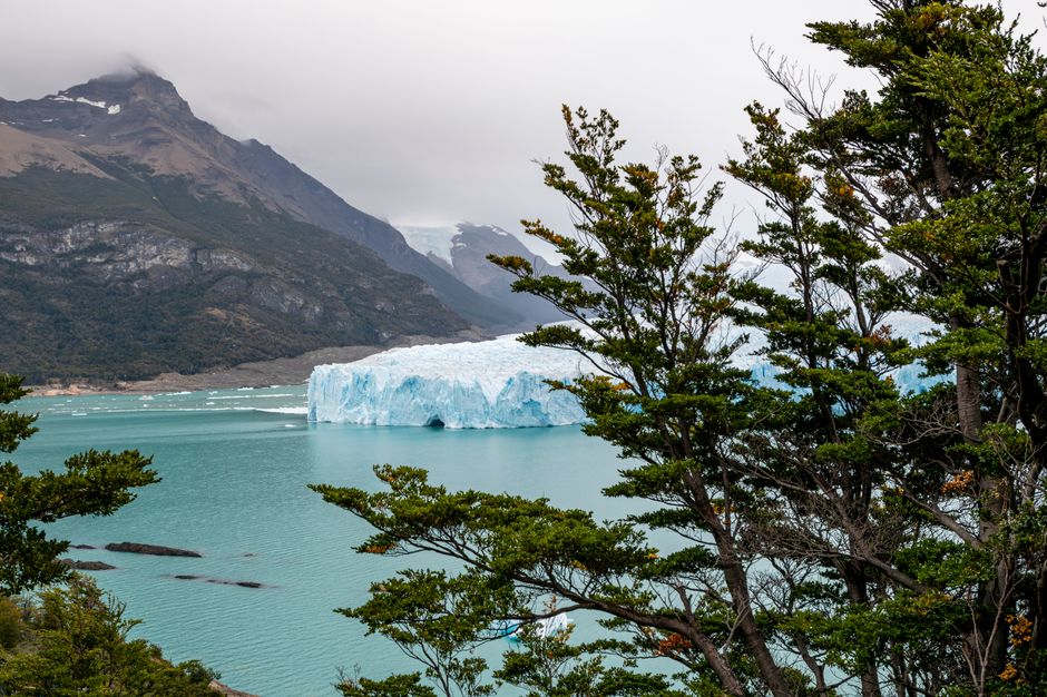 Beautiful landscape of Perito Moreno Glacier in Santa Cruz, Argentina, with turquoise waters and lush greenery.