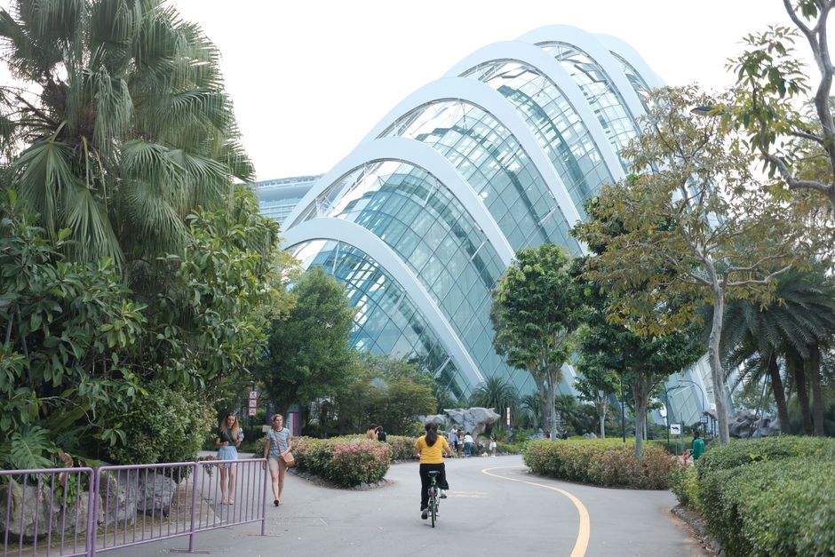 A cyclist enjoying a ride past the stunning architecture of Gardens by the Bay in Singapore.